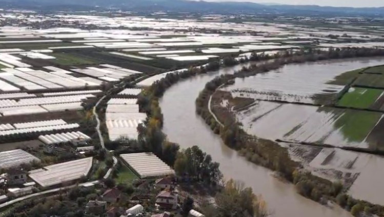 Përmbytja në Goriçan të Dimalit, serrat prej pesë ditësh nën ujë