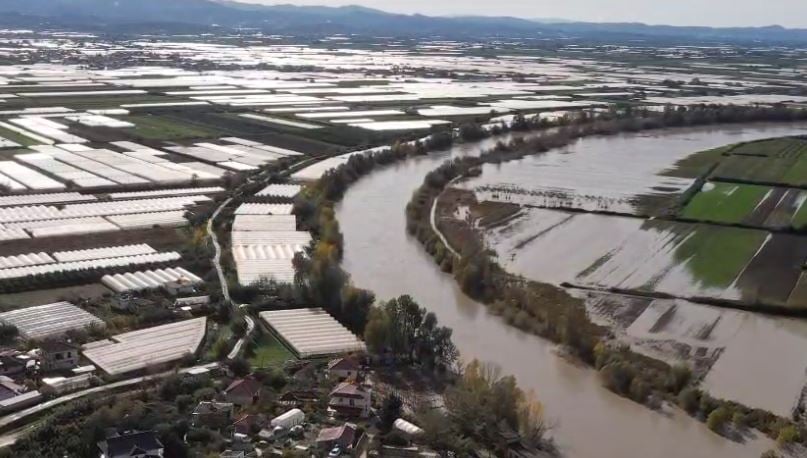 Përmbytja në Goriçan të Dimalit/ Top Channel sjell pamjet me dron, serrat prej pesë ditësh nën ujë