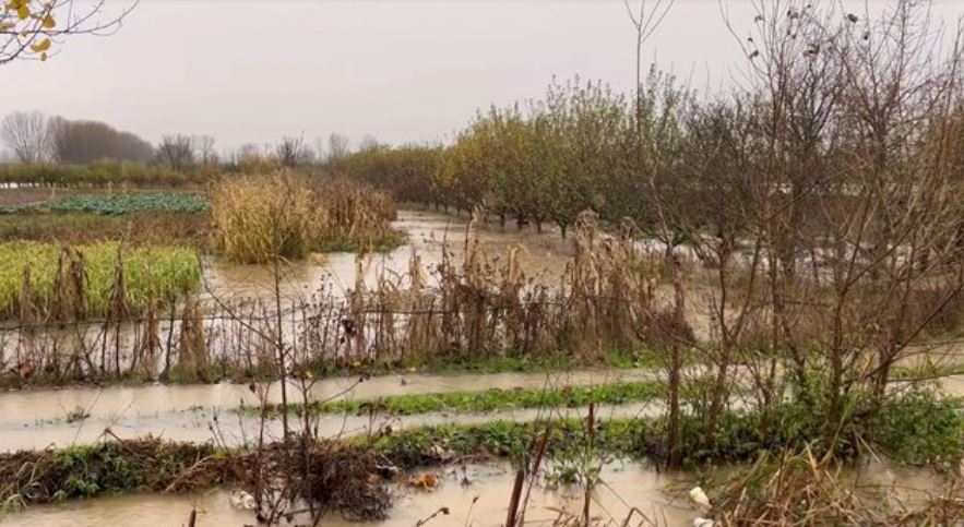Përmbytjet në fushën e Maliqit/ Fermerët apel shtetit për ndihmë