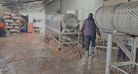 Përmbytjet shkatërrojnë sipërmarrjet në Maliq, kërkohet ndihmë nga shteti