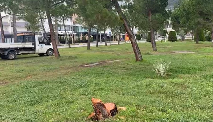 Pritet pishat natën në mes të Lungomares, Policia verifikon kamerat e sigurisë