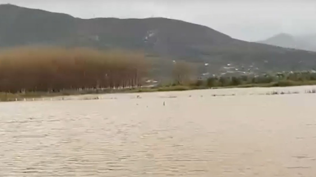 Problematike situata në fshatrat e Lezhës, sipërfaqe të konsiderueshme tokash bujqësore të përmbytura nga uji