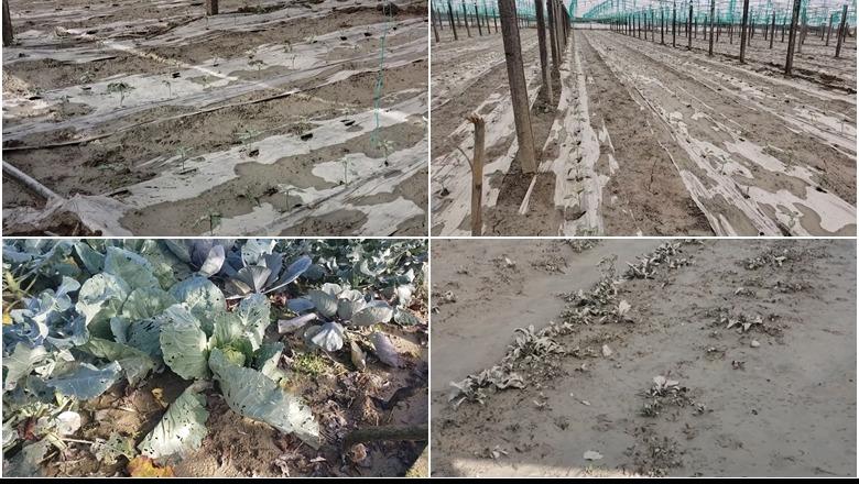 Prodhimet shkuan në lumë, banorët: Miliona lekë humbje