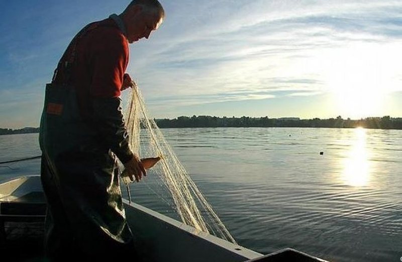 Qeveria miraton vendimin/ Rregullat e reja për peshkimin, ja skema e re e certifikimit