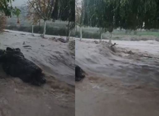 Reshje intensive shiu në Finiq, përroi i fshatit del nga shtrati, përmbyten fushat dhe rrugët