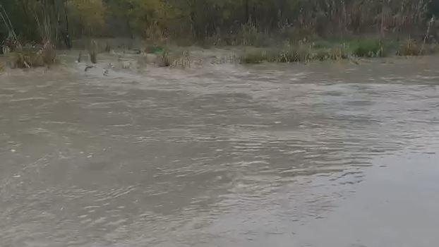 Reshjet e shiut shtojnë nivelin e Vjosës, dhjetëra banesa në rrezik përmbytjeje