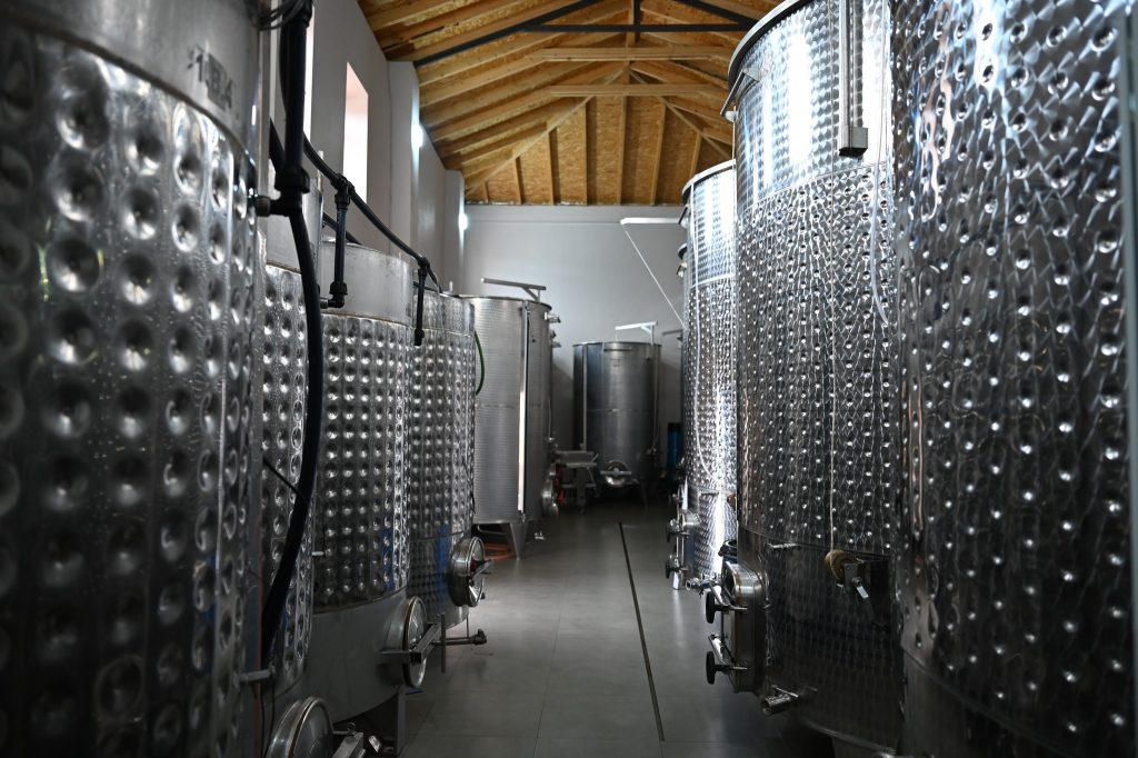 Rrushi autokton i Pogradecit kthehet në skenë, fermerët riafirmojnë traditën