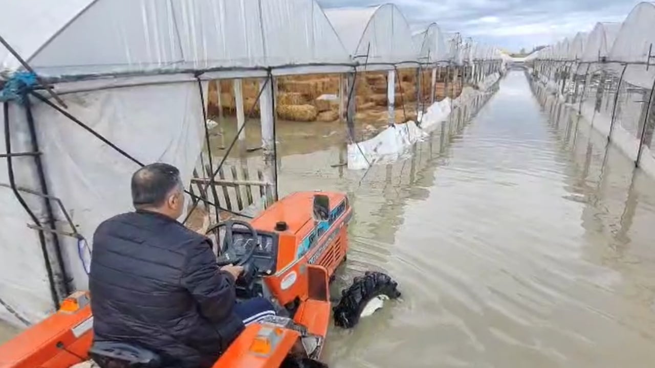 Semani mbyt bagëtitë dhe serat, niveli i lumit po rritet edhe për shkak të prurjeve nga Devolli