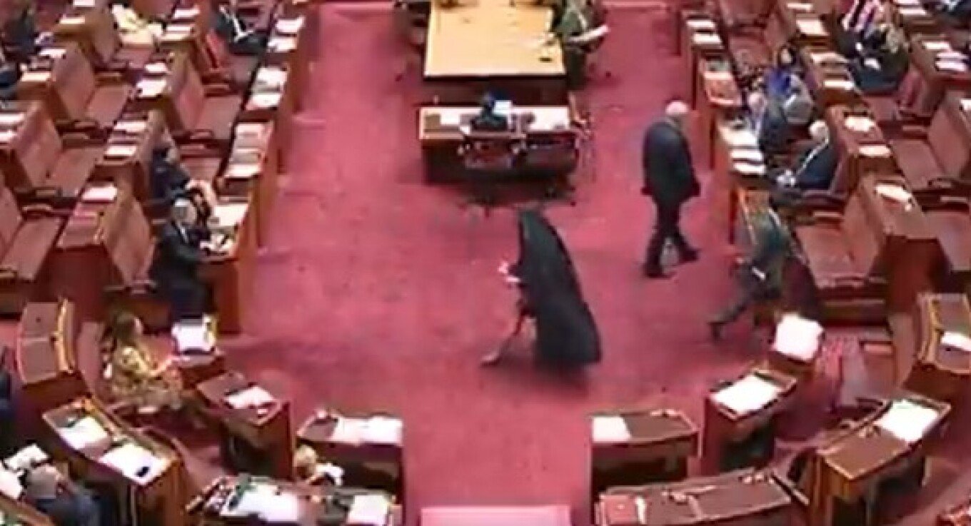 Senatorja e ekstremit të djathtë në Australi shfaqet në parlament e veshur me burka, shkakton zemërim dhe akuza për racizëm