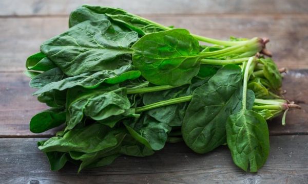 Si të reduktoni stresin? – Hani spinaq