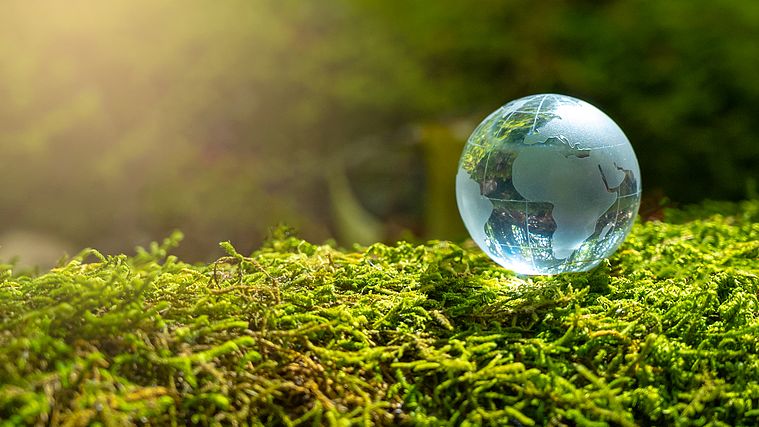 Sondazhi i CGTN-it: Duhen veprime konkrete për qeverisjen klimatike