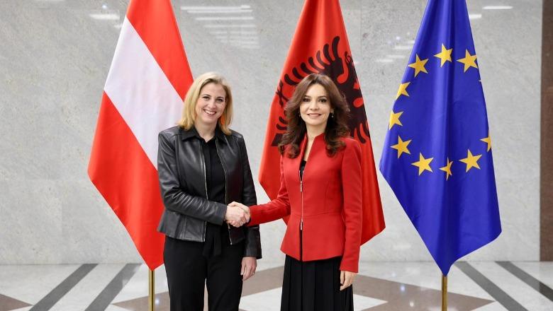 Spiropali pret në Tiranë homologen austriake: Mbështetja juaj për integrimin europian ka bërë gjithmonë diferencën…