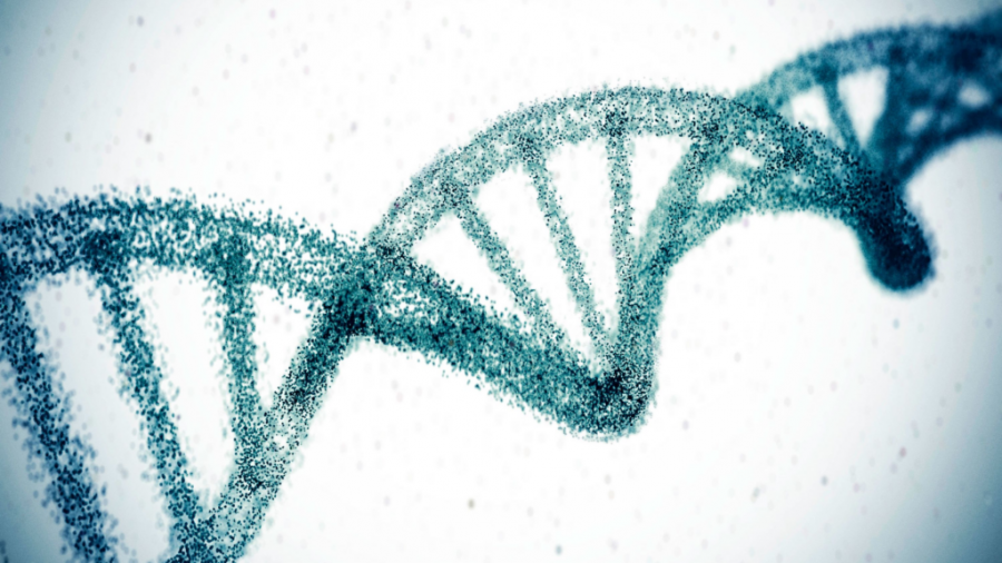 Terapia gjenetike mund të ulë përgjithmonë kolesterolin e lartë
