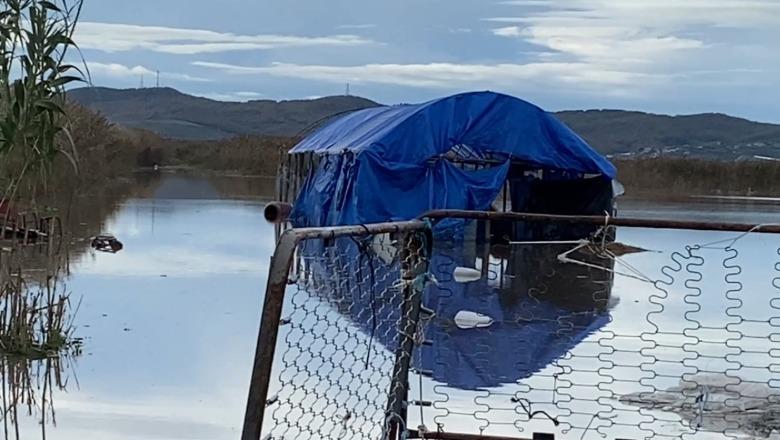 Tokat bujqësore në disa zona ende nën ‘pushtetin’ e ujit/ Moti i keq ‘paralizon’ qytetin e Lushnjës