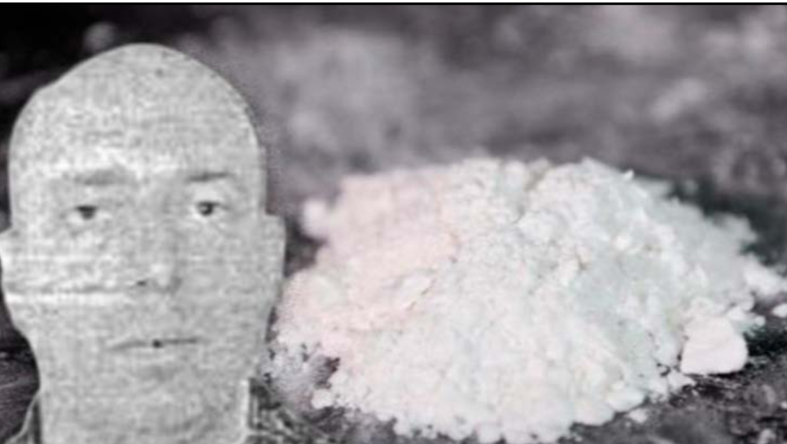 Trafikuan 1.3 ton kokainë në Evropë, si funksiononte grupi kriminal i Visit të Pojës, 6 baza logjistike në Itali…