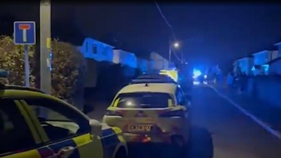 Tragjike/ Qeni sulmon një foshnjë 9-muajshe