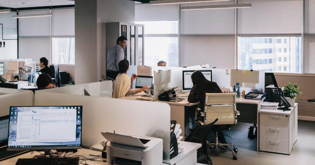 Universiteti “nuk vlen”! Mbi 80% e vendeve të lira të punës në 2024 nuk kërkonin aftësi arsimore