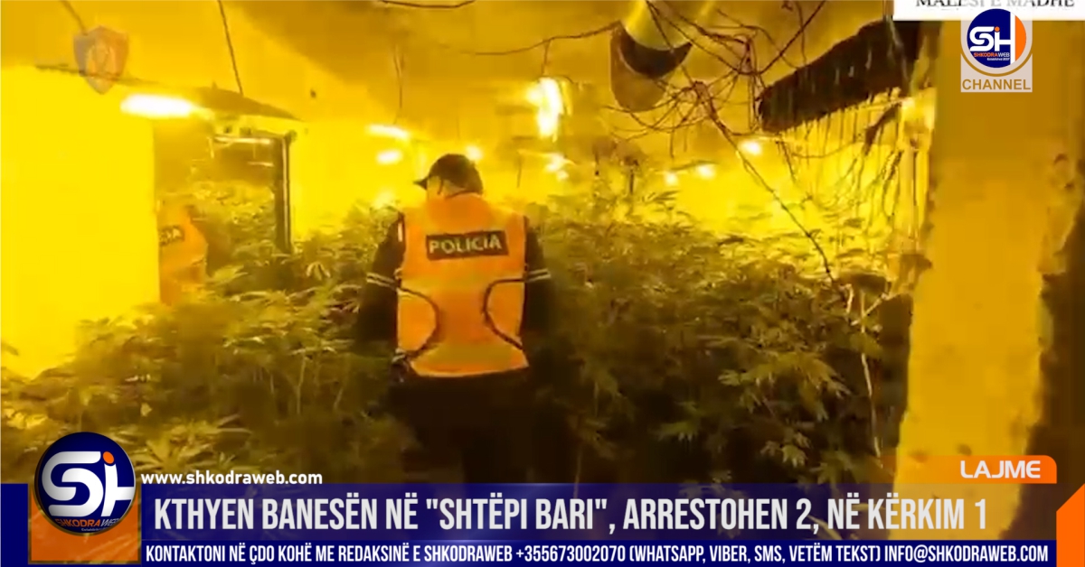 VIDEO – Kthyen banesën në “shtëpi bari”, arrestohen 2, në kërkim një tjetër në Malësi të Madhe…