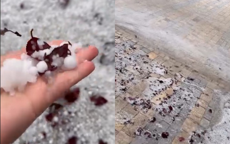 VIDEO/ Stuhi e fuqishme në Gramsh, dëme në bujqësi