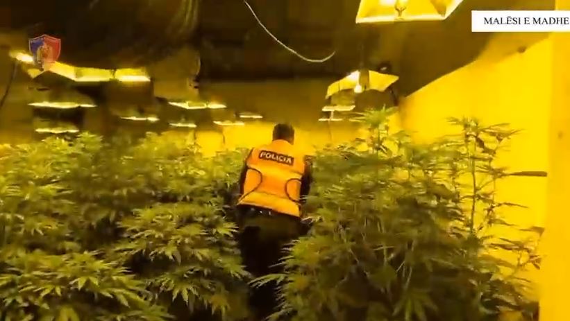 VIDEO/ Zbulohen 3 shtëpi bari në Malësi të Madhe, 2 në pranga, 4 punonjës të OSHEE në hetim