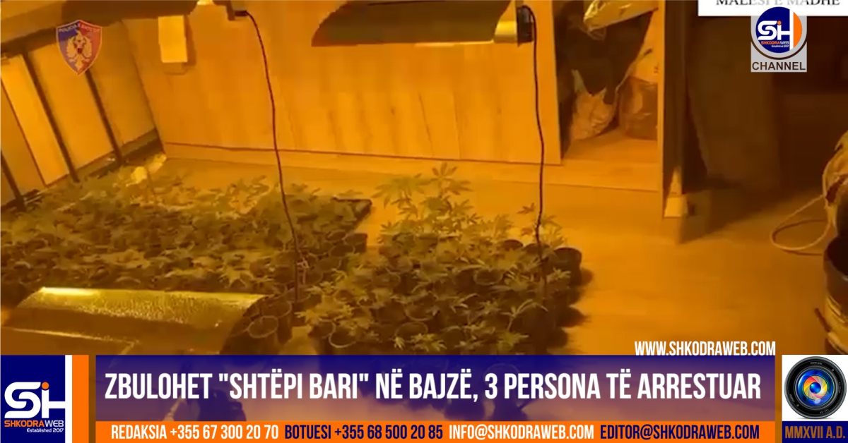 VIDEO – Zbulohet “shtëpi bari” në Bajzë të Malësisë së Madhe, arrestohen 3, procedohen 3 persona të tjerë