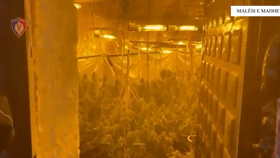 Vila dy katëshe e kthyer në “shtëpi bari” në Malësi të Madhe, arrestohen dy punonjës të OSHEE