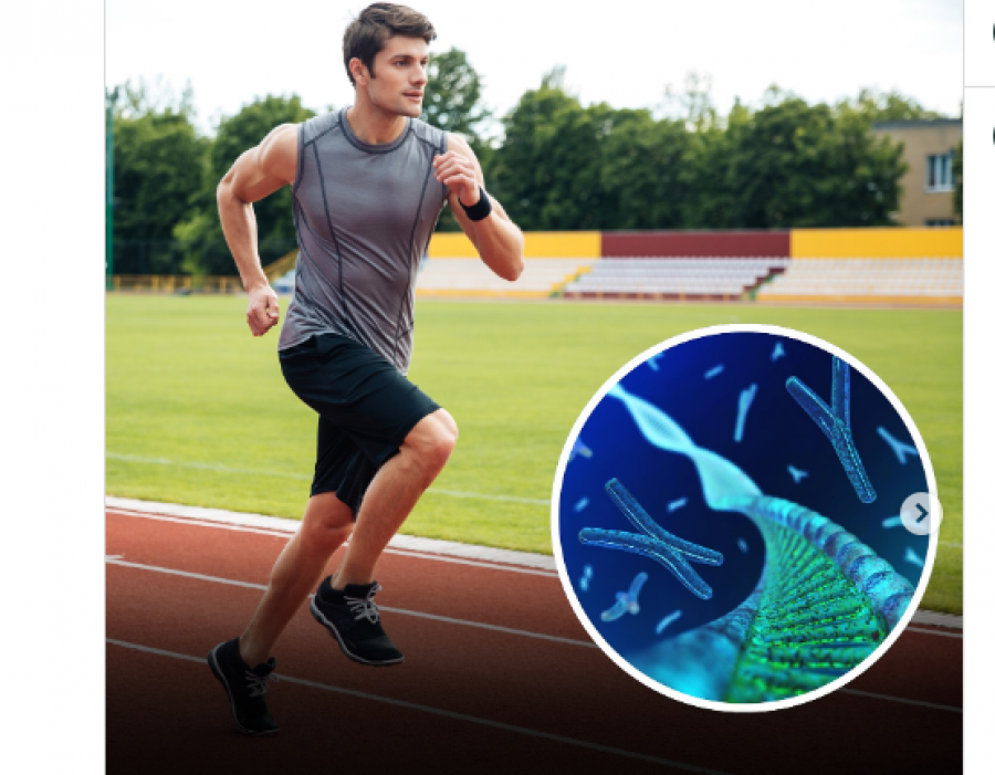 Vrapimi i shpejtë, aktivizon mekanizmat qelizorë që ngadalësojnë plakjen