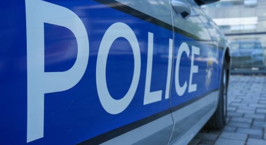 Vrasja e dy vëllezërve/ Autori i dyshuar, me të kaluar kriminale