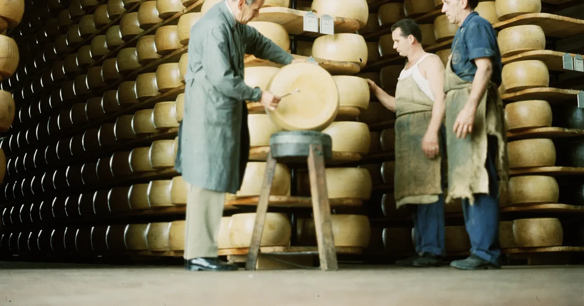 A ka djathi Parmigiano më shumë protinë se çokollatat me proteinë?