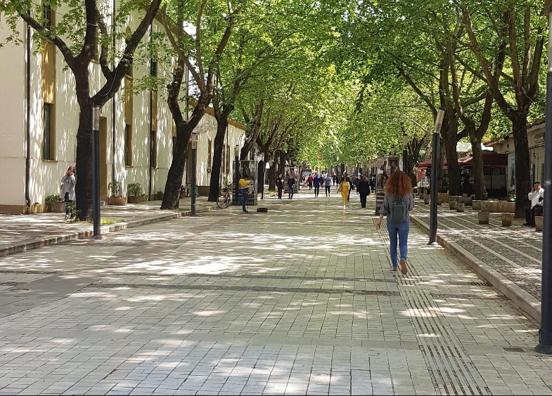 BERZH: 23% e të rinjve të arsimuar kanë emigruar/ Ikja e “trurit”, një sfidë për të ardhmen e Shqipërisë