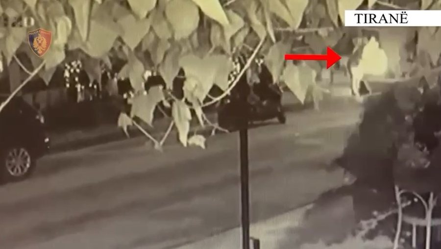 Dogji Audin me vlerë 100 mijë euro, arrestohet 39-vjeçari