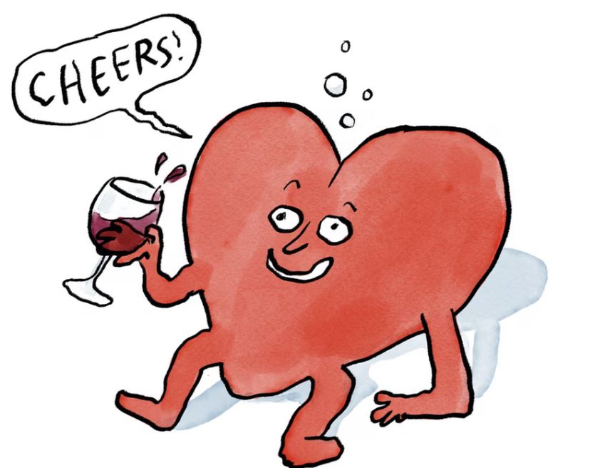 E vërtetë apo mit/ A i bën mirë zemrës tënde një gotë verë?