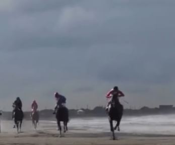 Garë me kuaj në Darëzezë. Video që tregon se si goditet me kamxhik kali i garës…