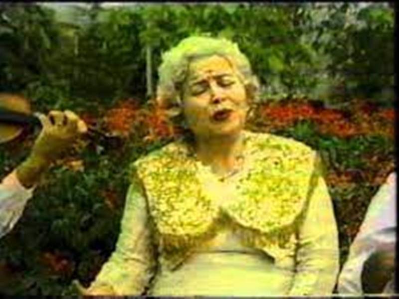 Hafsa Zyberi: Rrallë kam pa k’so bukurie… (teksti dhe kënga)