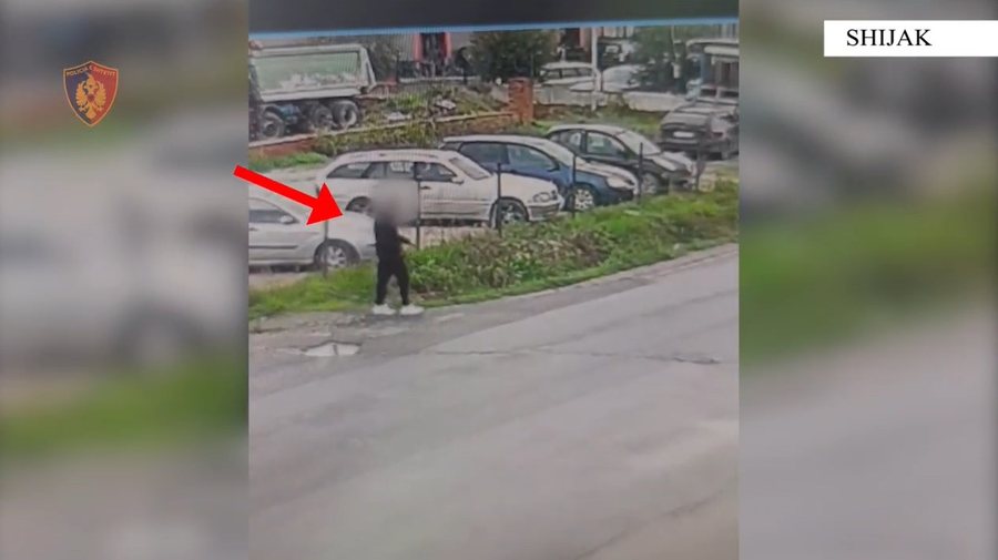 Hajduti nga Torino arrestohet për vjedhje në Maminas