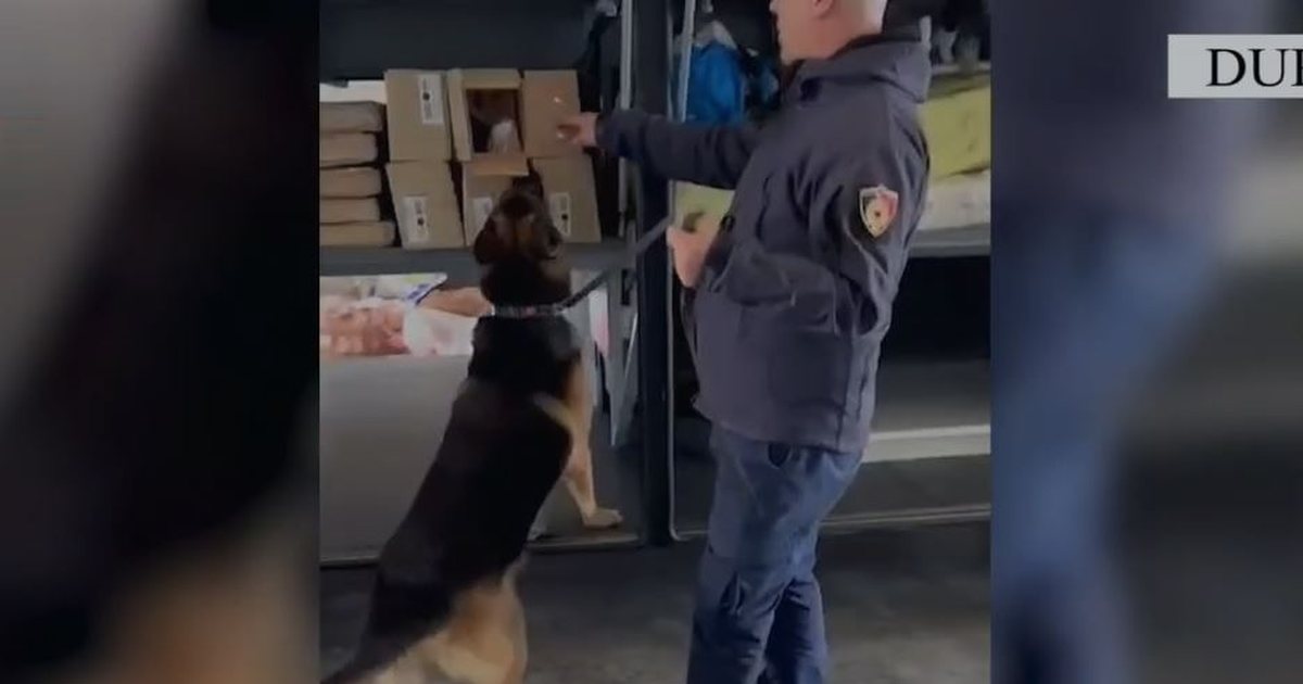 Kokainë, armë dhe mijëra euro/ Policia arreston shoferin e autobusit në Portin e Durrësit (Emri+video)