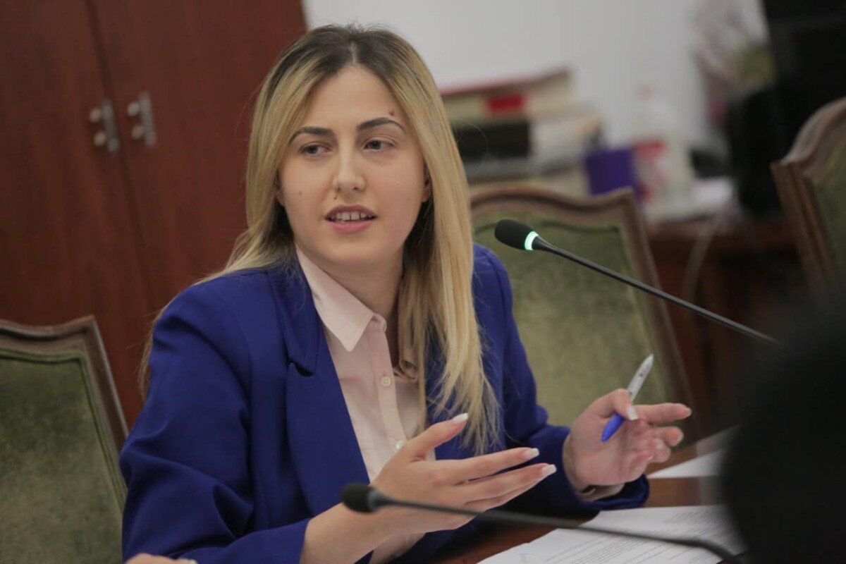 “Kujtoheni vetëm për zgjedhje”/ Projektligji për diasporën, Zhupa akuzon qeverinë: Faktet janë të thjeshta…