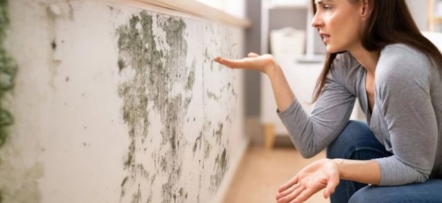 Ndaloni mykun në shtëpi duke ndjekur metodën skandinave që s’kushton asgjë