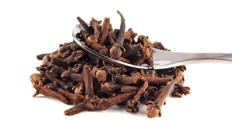 Nga kapsllëku tek mëlçia e dhjamosur: 4 arsyet pse duhet të përdorni karafil