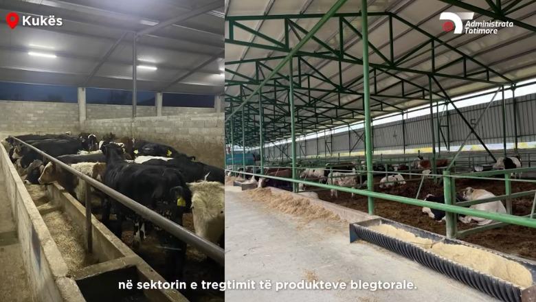 Nuk deklaruan 10 milionë euro të ardhura, Tatimet zbarkojnë në Kukës, Kavajë e Fier: Respektoni ligjin!