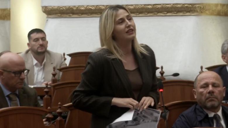 “Ose i stërvitni ju të korruptohen, ose…”/ Seanca plenare, Mogherini në pranga, Zhupa: Tani kuptuam ç’doni të thoni