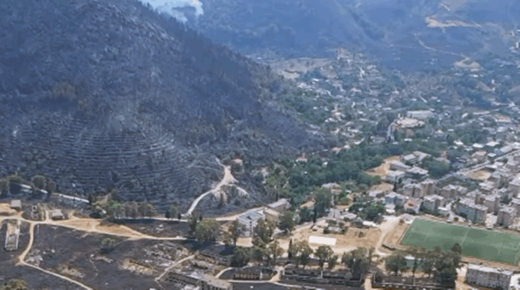 Plani i ri i qeverisë: Rrjet kombëtar fidanishtesh për rritjen e pyjeve dhe hapësirave të gjelbra