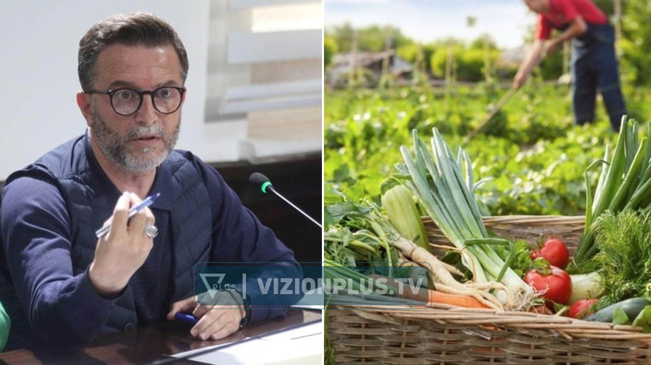 “Prodhimi shqiptar kushton më shumë”, Braçe përplaset me përfaqësuesen e Financave: Po u bëni nder serbëve dhe boshnjakëve