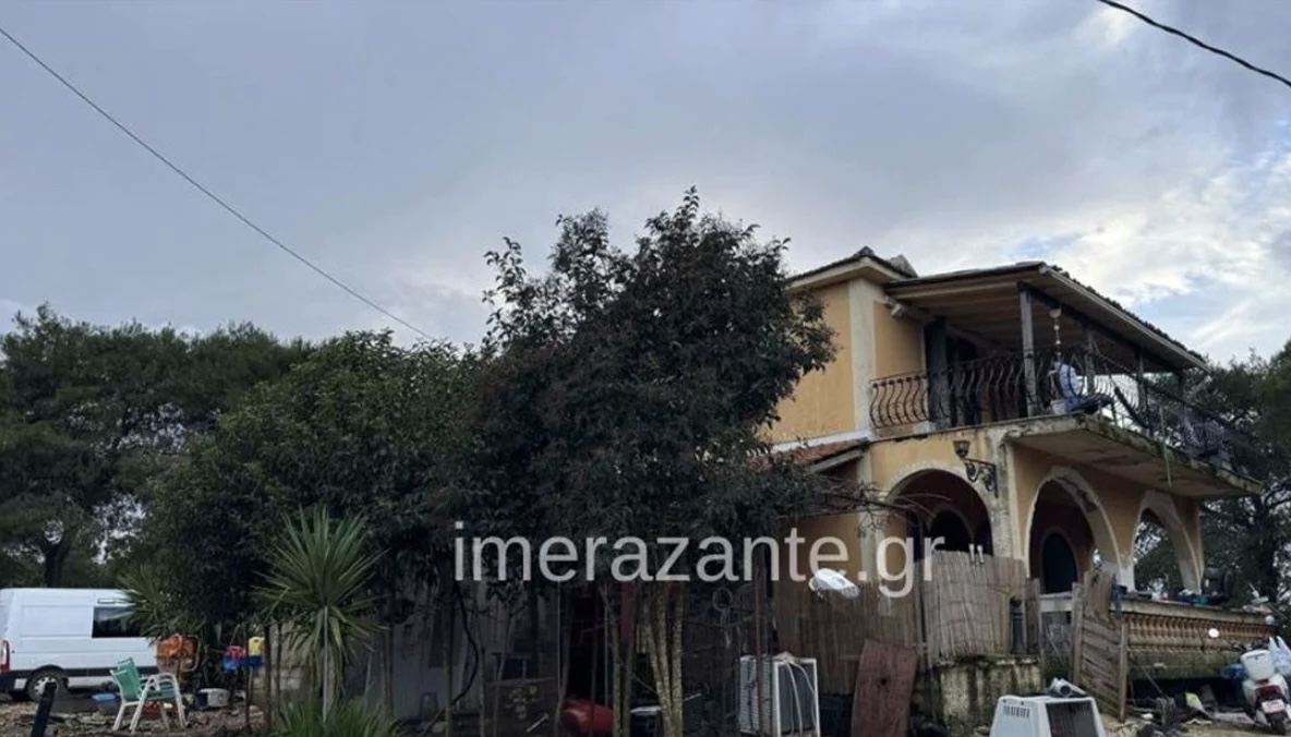 Qeni kafshoi për vdekje 2-vjeçarin, babai: Im bir më pa, buzëqeshi dhe mbylli sytë