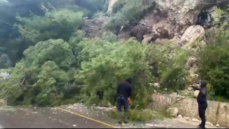 Reshjet e shiut/ Rrëzohet pema në Radhimë, bllokon një kah të rrugës