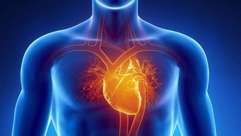 Sa “vjeç” është zemra juaj? Si matet mosha biologjike e saj dhe si vlerësohet rreziku kardiak