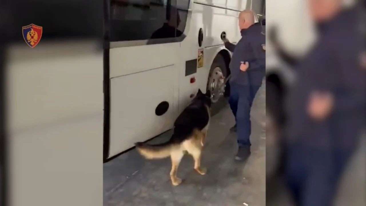 Sekuestrohet drogë, armë dhe mijëra euro në Portin e Durrësit! Arrestohet shoferi i autobusit