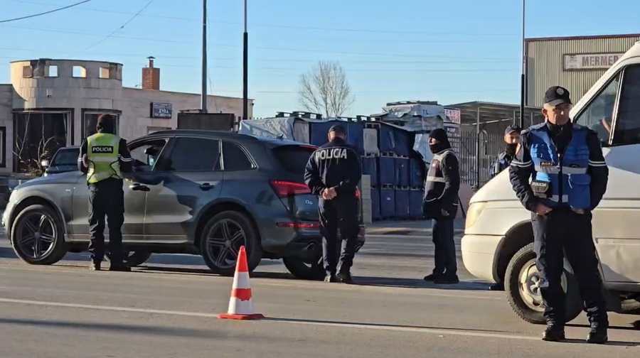 Vrasja në Elbasan, “blindohet” juglindja, policia në kërkim të autorëve