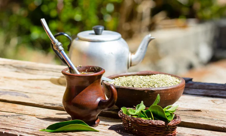 Benefitet e çajit argjentinas. Yerba Mate, fuqia e Amazonës