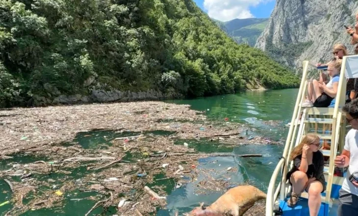 FOTOLAJM- Liqeni i Komanit mbulohet nga plehrat dhe kafshët e ngordhura